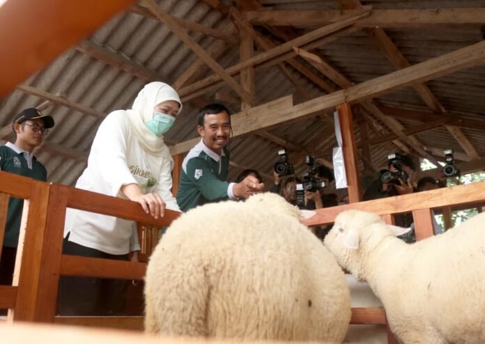 Khofifah Luncurkan Program Sikap, Perkuat Ketahanan Pangan Berkelanjutan Berbasis Pendidikan.