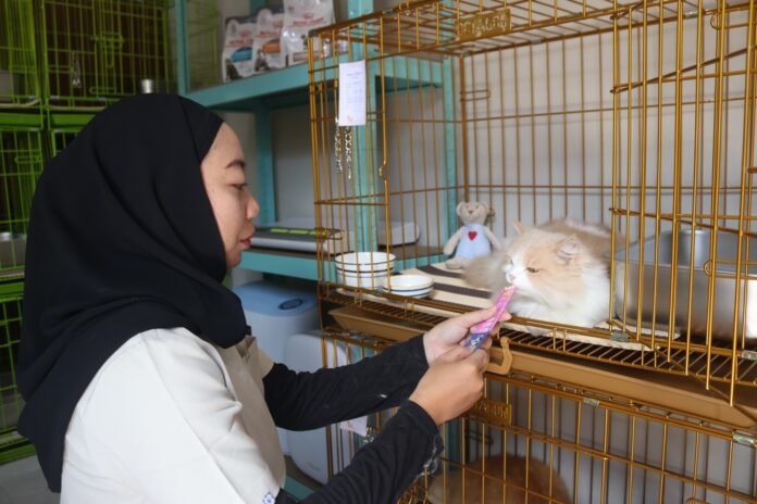 Jelang Lebaran, Jasa Penitipan Hewan Peliharaan di Kediri Diserbu Pemudik