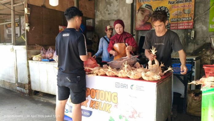 Kisah Sukses UMKM Binaan BRI Kediri, Jualan Ayam Potong Raup Omzet Ratusan Juta Rupiah Setiap Bulan