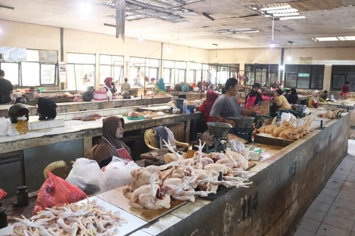 Dapur MBG Libur, Harga Pangan Serentak Turun
