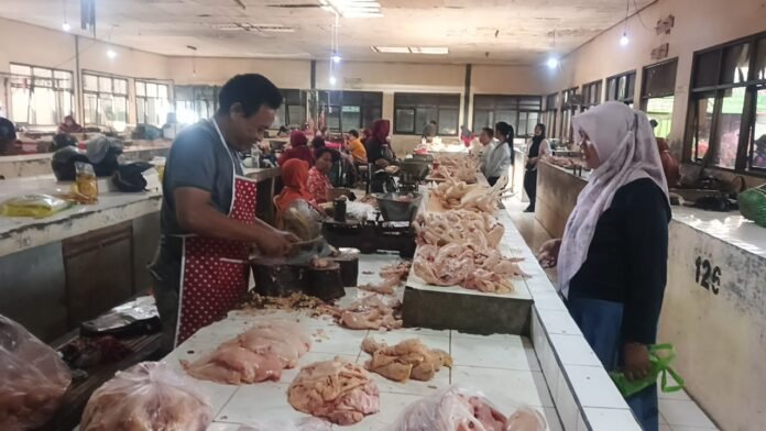 Harga Daging Ayam Kembali Melesat, Pedagang Sebut Karena Faktor Ini
